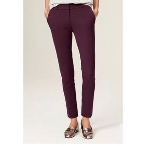 👠 LOFT Maroon Trouser